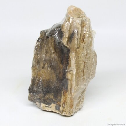 Декоративний природній камінь Hobby Petrified Wood S 0.3-1.0кг (40686) — Фото 2