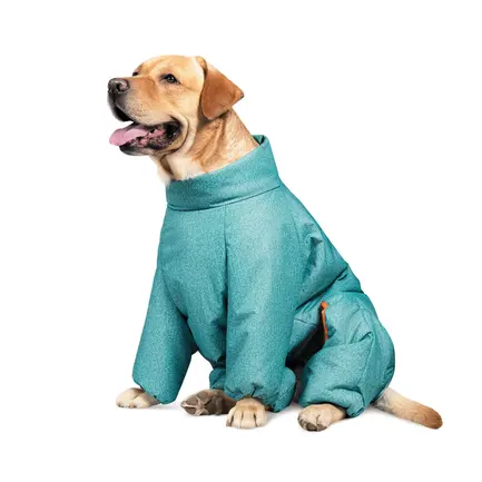 Комбінезон Pet Fashion «Cold» для собак, розмір M, бірюза: додаткове фото 2