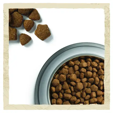 Сухий корм DOG CHOW Large Breed Adult 2+ для дорослих собак великих порід з індичкою 14 кг: додаткове фото 11