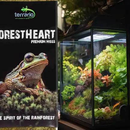 Натуральний мох торф’яний Terrario ForestHeart Sphagnum Moss 100г для тераріумів та орхідей: додаткове фото 4