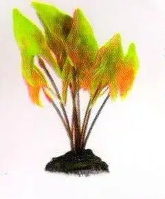 Aquatic Plants (Акватик Плэнтс) Акваріумна рослина, 20 см х 8 шт/уп. арт.2021