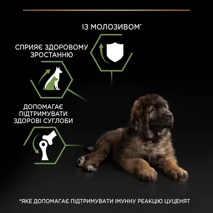 Сухий корм PRO PLAN Large Robust Puppy <2 Healthy Start для цуценят великих порід масивної статури з куркою 12 кг: додаткове фото 7