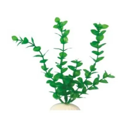 AquatiC Plants (Акватик Плентс) Акваріумна рослина,10cм.