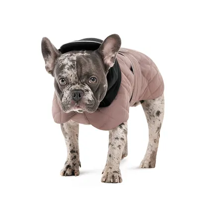 Попона Pet Fashion Max для собак M2: додаткове фото 2