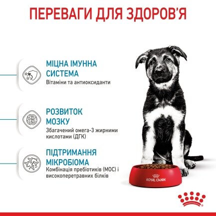 Сухий корм Royal Canin MAXI PUPPY для цуценят великих порід 1 кг — Фото 4