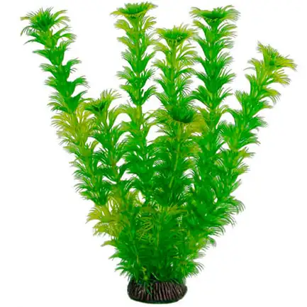 Акваріумна рослина Aquatic Plants, 25 см х 8 шт / уп (2576)