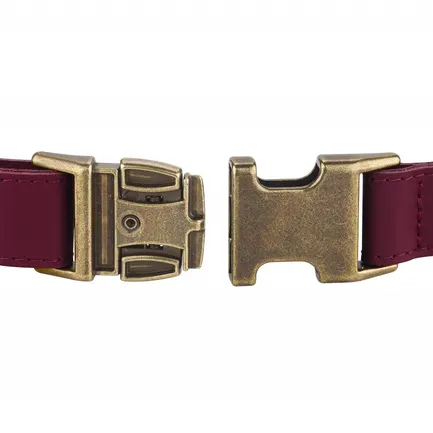 Нашийник для собак шкіряний BronzeDog Antiq бордовий L: додаткове фото 2