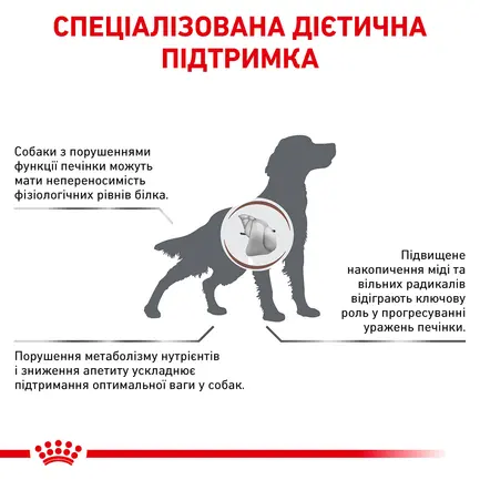 Дієтичний сухий корм Royal Canin HEPATIC DOG для собак 12 кг: додаткове фото 3