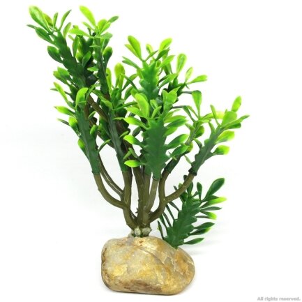 Штучна рослина кактус Hobby Euphorbia M 15x7x17см (36999)