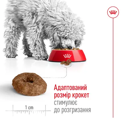 Сухий корм Royal Canin MINI AGEING 12+ для собак зрілого віку малих порід 0,8 кг: додаткове фото 4