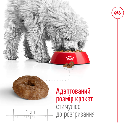 Сухий корм Royal Canin MINI AGEING 12+ для собак зрілого віку малих порід 0,8 кг — Фото 3