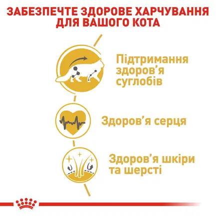 Сухий корм Royal Canin MAINECOON ADULT для котів породи Мейн-кун 2 кг: додаткове фото 4