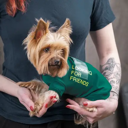 Футболка Pet Fashion «Game» для собак, розмір XS, зелена: додаткове фото 6