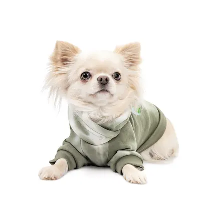 Худi Pet Fashion Gray для собак розмір XS темно-зелений: додаткове фото 2