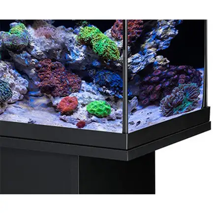 Акваріумний комплект Eheim aquastar 63 marine LED чорний (0340701): додаткове фото 4