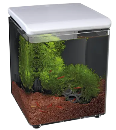 Акваріум акриловий - Superfish Home 8 WHITE (A4051250)