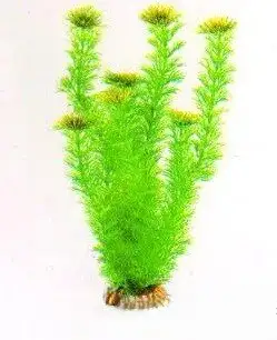 Aquatic Plants (Акватик Плэнтс) Акваріумна рослина, 29 см х 6 шт/уп.