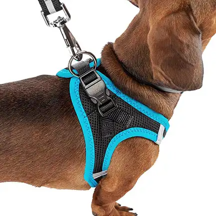 Ferplast KAORI P M HARNESS BLACK/BLUE Шлея,чорно-синя: додаткове фото 5
