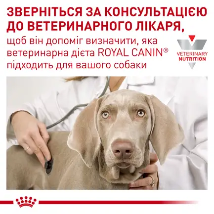 Дієтичний сухий корм Royal Canin GASTROINTESTINAL LOW FAT SMALL DOG для собак 3,5 кг: додаткове фото 9