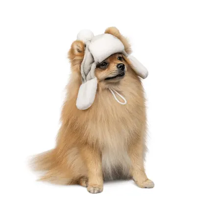 Шапка Pet Fashion Bubo для собак, розмір S, сіра: додаткове фото 2