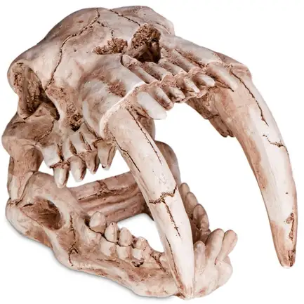 Декорація череп тигра Terrario Sabertooth Skull 13x8,5x11см (15911): додаткове фото 6