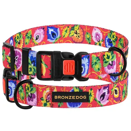 Нашийник для собак BronzeDog Urban Folk нейлоновий з пластиковою пряжкою кораловий M