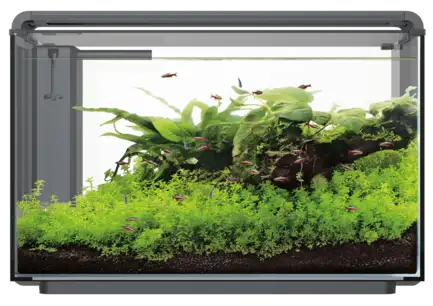 Акваріумний набір SuperFish Home ProLED 85 Black (A4051645)