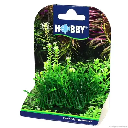 Штучна рослина Hobby Plant Pad 1 7x4,5x5,5см (51551): додаткове фото 2