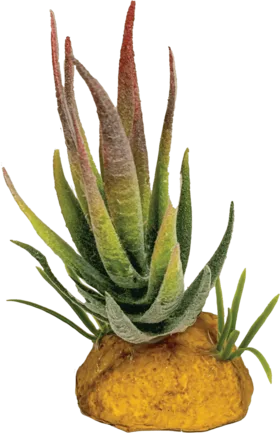 REPTO PLANT ALOE RED TIP (R5100620) Штучна рослина для тераріума
