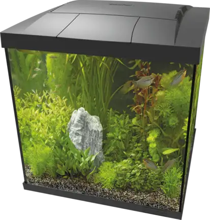 Акваріумний комплект - SF START QUBE 60 KIT BLACK (A4052360)