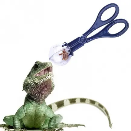 Інструмент для вилову комах Terrario Cricket Catcher (Terrario-cricket): додаткове фото 4