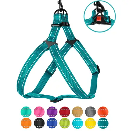 Шлея для Собак BronzeDog Active Нейлонова зі Світловідбиттям Бірюзова L: додаткове фото 4
