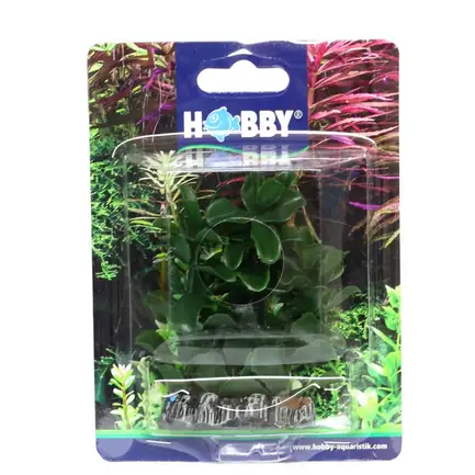 Штучна рослина Hobby Bacopa 7см (51555): додаткове фото 2