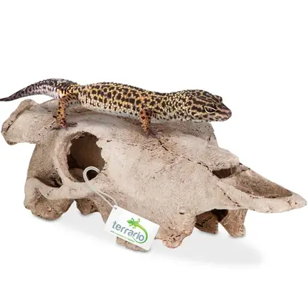 Декорація череп буйвола Terrario Buffalo Skull 21x12x8см (22128): додаткове фото 3