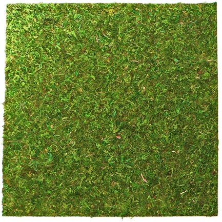 Фон моховий Repti-Zoo Natural Moss Back &amp; Bottom 45x45см 2шт. (NCM4545)