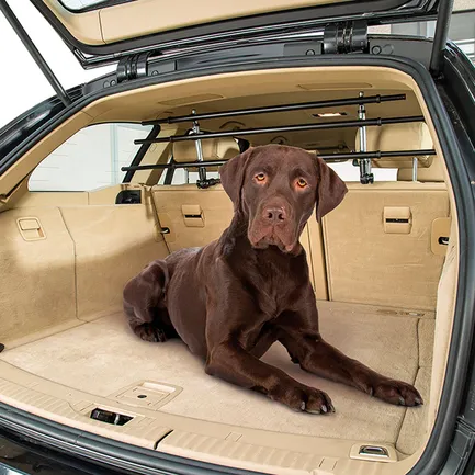 Ferplast DOG CAR SECURITY Автомобільні захисні грати для собак: додаткове фото 7