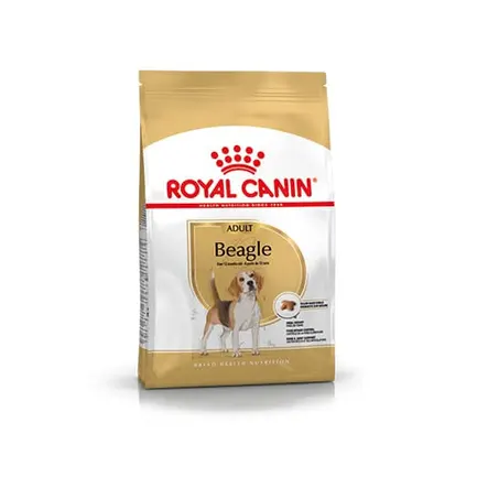 Сухий корм Royal Canin BEAGLE ADULT для дорослих собак породи Бігль 3 кг