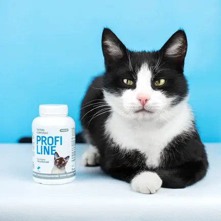 Вітаміни Provet Profiline для котів Таурин Комплекс, 180 таб.: додаткове фото 4