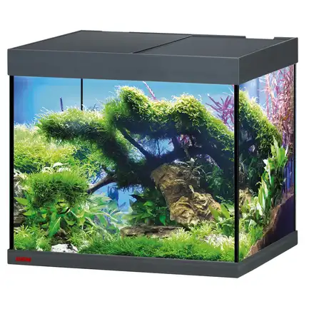 Акваріум Eheim vivaline LED 150 2x12W (LED) антрацитовий без тумби (0613039): додаткове фото 2