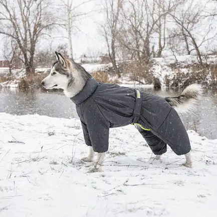 Комбінезон Pet Fashion «Cold» для такс, розмір S2, сірий: додаткове фото 5