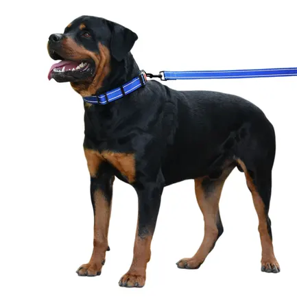 Повідець для Собак Bronzedog Active Нейлоновий зі Світловідбиттям Синій S: додаткове фото 7