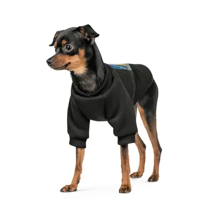 Толстовка Pet Fashion Ukraine для собак, розмір XS, чорна: додаткове фото 2
