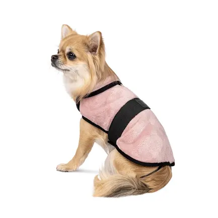 Попона Pet Fashion «Blanket» для такс, розмір S, пудра: додаткове фото 2