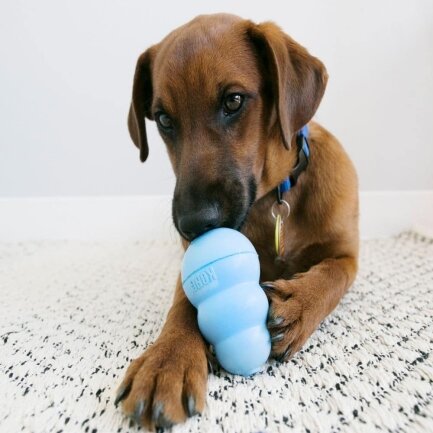 Іграшка KONG Puppy груша-годівниця для цуценят середніх порід, M — Фото 4