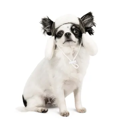 Шапка Pet Fashion Bubo для собак, розмір M, хакі: додаткове фото 2