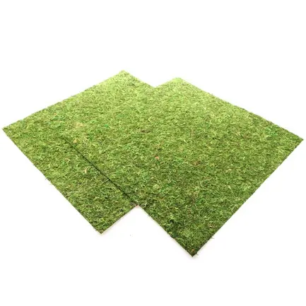 Фон моховий Repti-Zoo Natural Moss Back &amp; Bottom 45x45см 2шт. (NCM4545) — Фото 2