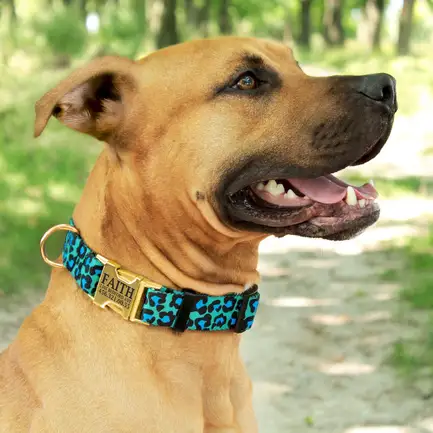 Нашийник для Собак BronzeDog Urban Леопард золотий фастекс Бірюзовий M: додаткове фото 7