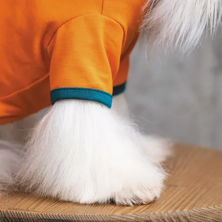 Футболка Pet Fashion «Art» для собак, розмір S, помаранчева: додаткове фото 3