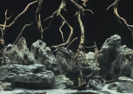 Акваріумний задній фон Aqua Nova Синє море/Камені з корчами 100x50см (TREE ROOTS/WATER L): додаткове фото 3