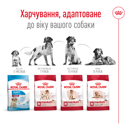 Сухий корм Royal Canin MEDIUM ADULT для дорослих собак середніх порід 15 кг — Фото 2